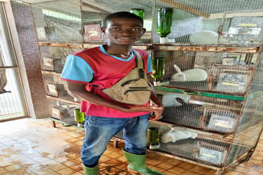 Ingénieur des Techniques d'Elévage (I.T.E)